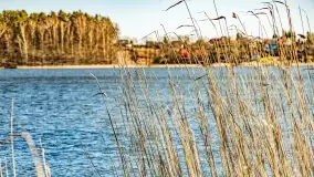 Jezioro Ołów w pierwszych dniach wiosny - zdjęcie 26