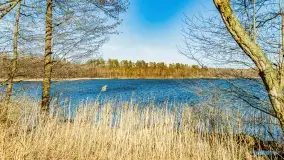 Jezioro Ołów w pierwszych dniach wiosny - zdjęcie 59