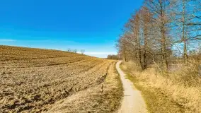 Jezioro Ołów w pierwszych dniach wiosny - zdjęcie 49