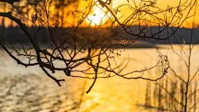 Wschód słońca przy wyspie Wydmińskiej, kwiecień 2022 r. - zdjęcie 8