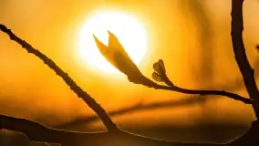 Wschód słońca przy wyspie Wydmińskiej, kwiecień 2022 r. - zdjęcie 44