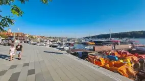 Takie różne tam, z telefonu i... z zeszłego roku 2021 - zdjęcie 36