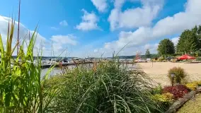 Takie różne tam, z telefonu i... z zeszłego roku 2021 - zdjęcie 35