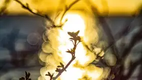 Zachód słońca nad jeziorem Dejguny, marzec 2022 r. - zdjęcie 13