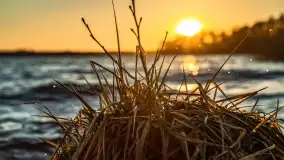 Zachód słońca nad jeziorem Dejguny, marzec 2022 r. - zdjęcie 51