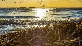 Zachód słońca nad jeziorem Dargin, marzec 2022 r. - zdjęcie 14