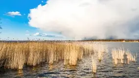 Zachód słońca nad jeziorem Bocznym, Leśna Keja - zdjęcie 22
