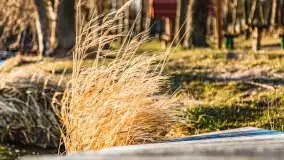 Zachód słońca nad jeziorem Bocznym, Leśna Keja - zdjęcie 21