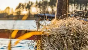 Zachód słońca nad jeziorem Bocznym, Leśna Keja - zdjęcie 25