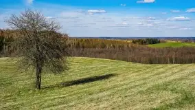 Grodzisko Galindów na Zamkowej Górze - zdjęcie 17