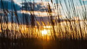 Zachód słońca nad jeziorem Stręgiel - zdjęcie 18