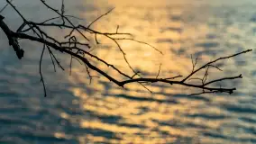 Zachód słońca nad jeziorem Jagodne - zdjęcie 21