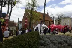 Majówka na Mazurach - zdjęcie 12