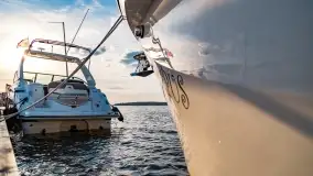 Ognisty Ptak przed kwietniowym zachodem słońca - zdjęcie 1