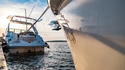 Ognisty Ptak przed kwietniowym zachodem słońca