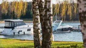 Ognisty Ptak przed kwietniowym zachodem słońca - zdjęcie 4