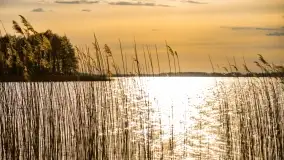 Ognisty Ptak przed kwietniowym zachodem słońca - zdjęcie 7