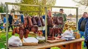 Rozpoczęcie sezonu w Tle Dla Mew, majówka 2022 - zdjęcie 22