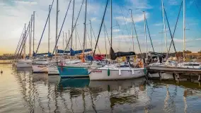 Rozpoczęcie sezonu w Tle Dla Mew, majówka 2022 - zdjęcie 30