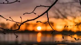 Jeszcze raz majówkowy zachód słońca w Sztynorcie - zdjęcie 11