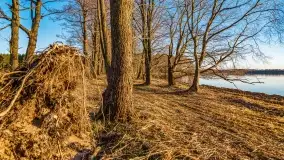 Wieczór i zachód słońca nad Darginem, kwiecień 2022 - zdjęcie 50