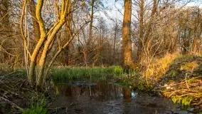 Zachód słońca nad jeziorem Dobskim, kwiecień 2022 - zdjęcie 19