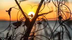 Zachód słońca nad jeziorem Dobskim, kwiecień 2022 - zdjęcie 47