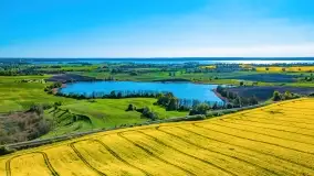 Złote, rzepakowe mazurskie pola z jeziorami w tle - zdjęcie 15