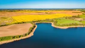 Złote, rzepakowe mazurskie pola z jeziorami w tle - zdjęcie 31