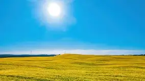 Złote, rzepakowe mazurskie pola z jeziorami w tle - zdjęcie 5