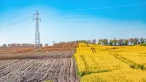 Złote, rzepakowe mazurskie pola z jeziorami w tle - zdjęcie 21