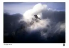 Kobiety fotografują na Mazurach. Niezwykły festiwal w Wojnowie - zdjęcie 11