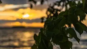 Zachód słońca nad jeziorem Dargin, maj 2022 r. - zdjęcie 32