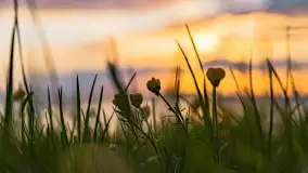 Zachód słońca nad jeziorem Dargin, maj 2022 r. - zdjęcie 7