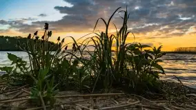 Zachód słońca nad jeziorem Dargin, maj 2022 r. - zdjęcie 3