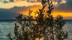 Zachód słońca nad jeziorem Dargin, maj 2022 r. - zdjęcie 16