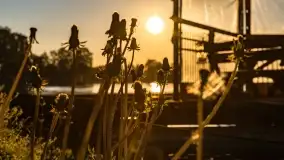 Zachód słońca nad jeziorem Bocznym, Marina Lester Club - zdjęcie 23