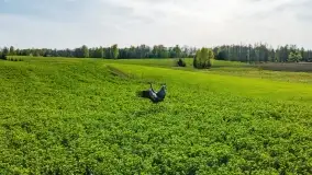 Wiosenne widoki przy jeziorach Ublik - zdjęcie 33