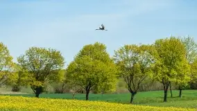 Wiosenne widoki przy jeziorach Ublik - zdjęcie 103