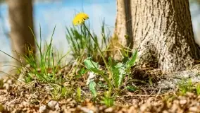 Wiosenne widoki przy jeziorach Ublik - zdjęcie 109