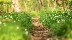 Wiosenne widoki przy jeziorach Ublik - zdjęcie 60