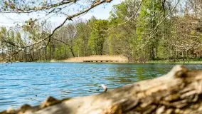 Wiosenne widoki przy jeziorach Ublik - zdjęcie 114