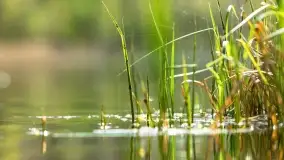 Wiosenne widoki przy jeziorach Ublik - zdjęcie 66