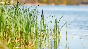 Wiosenne widoki przy jeziorach Ublik - zdjęcie 93