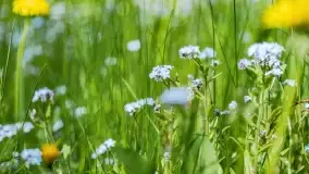 Wiosenne widoki przy jeziorach Ublik - zdjęcie 75