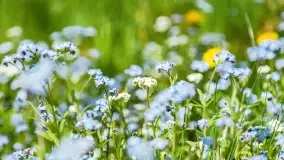 Wiosenne widoki przy jeziorach Ublik - zdjęcie 83