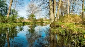 Wiosenne widoki przy jeziorach Ublik - zdjęcie 89