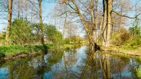 Wiosenne widoki przy jeziorach Ublik - zdjęcie 124