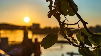 Zachód słońca nad jeziorem Bocznym, Marina Lester Club