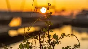 Wschód słońca nad jeziorem Mamry, Stanica Wodna Kietlice, czerwiec 2022 - zdjęcie 59